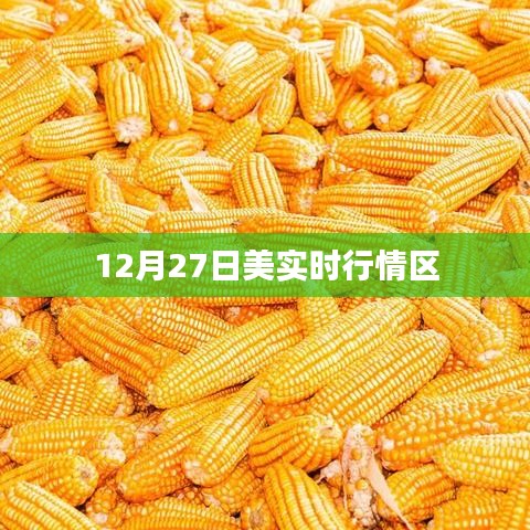 医疗器械外观设计 第262页