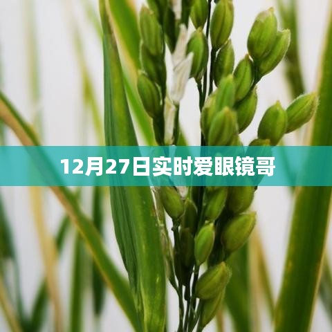 实时关注，爱眼镜哥，12月27日动态
