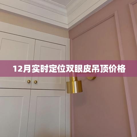 关于我们 第259页