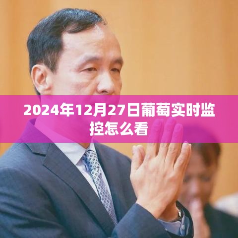 葡萄实时监控查看指南，2024年12月27日操作教程