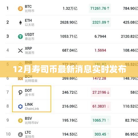 12月寿司币最新动态实时播报