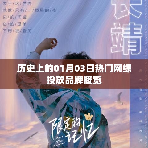 历史上的热门网综投放品牌概览，一月三日概览