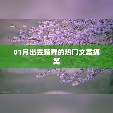 夫贵妻荣 第5页