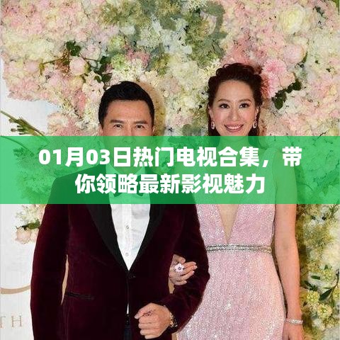 01月03日热门电视剧精选，最新影视魅力一览