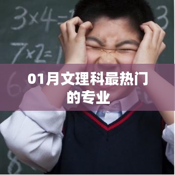 张王李赵 第4页