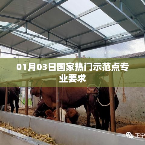 轻飞曼舞 第4页