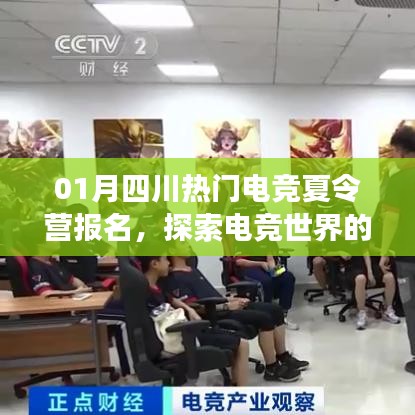 四川电竞夏令营报名启动，探索电竞世界的魅力之旅