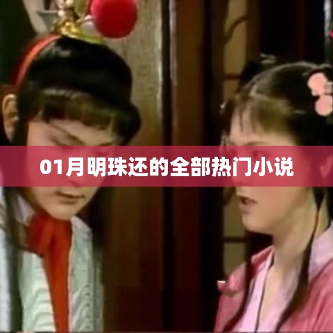 明珠热门小说大赏，一月必读之选