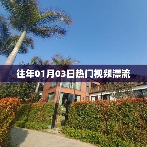 「往年一月初热门视频漂流回顾」