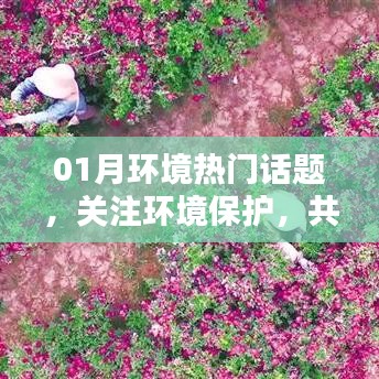 共建绿色家园，关注环境保护热门话题