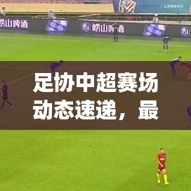 足协中超赛场动态速递，最新新闻与未来展望揭秘
