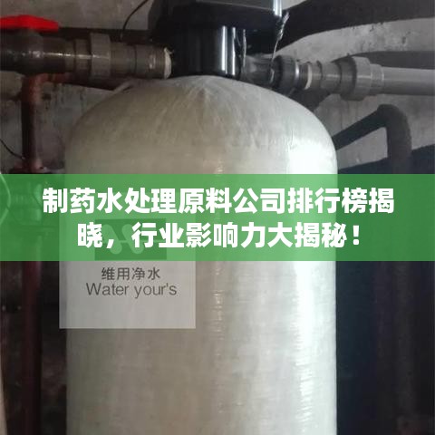制药水处理原料公司排行榜揭晓，行业影响力大揭秘！