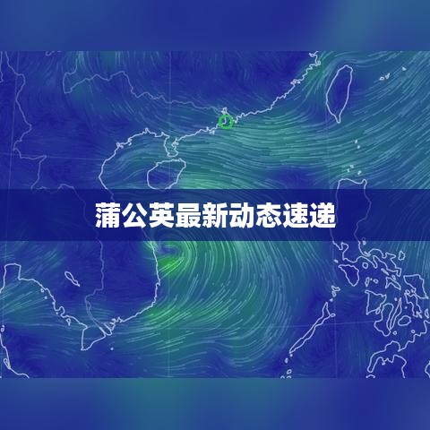 一心一意 第3页