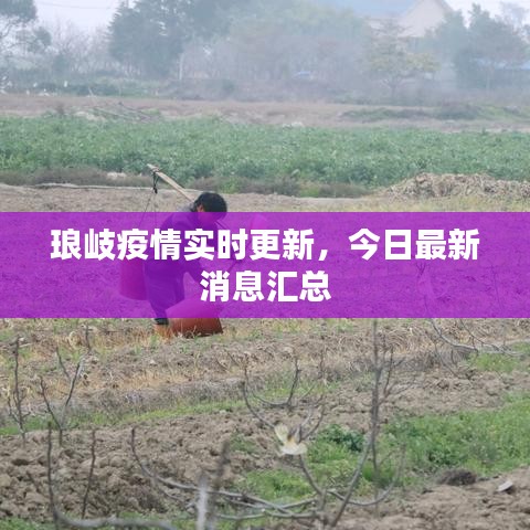 琅岐疫情实时更新，今日最新消息汇总