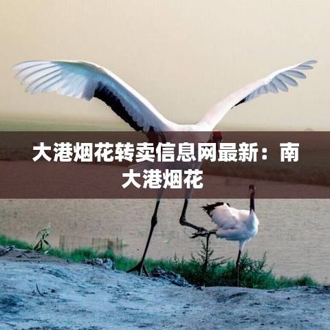 大港烟花转卖信息网最新：南大港烟花 