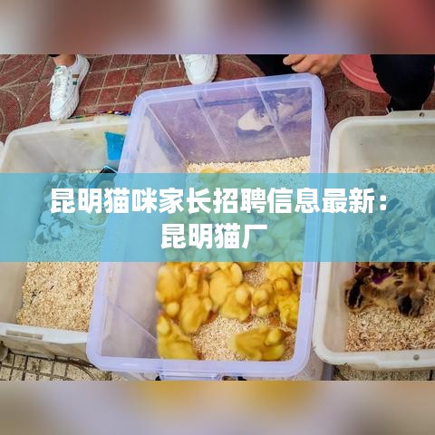 钗荆裙布 第4页