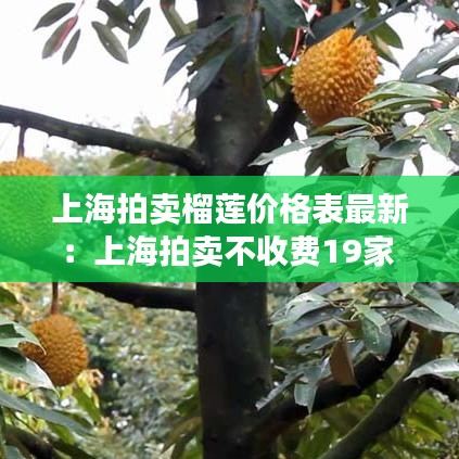 上海拍卖榴莲价格表最新：上海拍卖不收费19家 