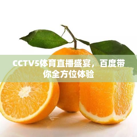 CCTV5体育直播盛宴，百度带你全方位体验