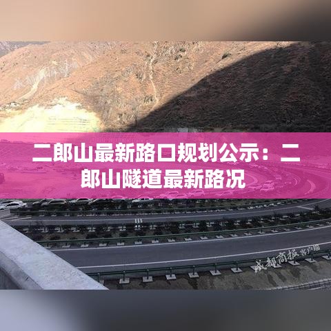 展翅高飞 第4页