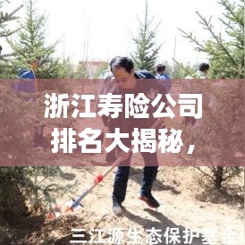 浙江寿险公司排名大揭秘，竞争态势与市场份额深度解析
