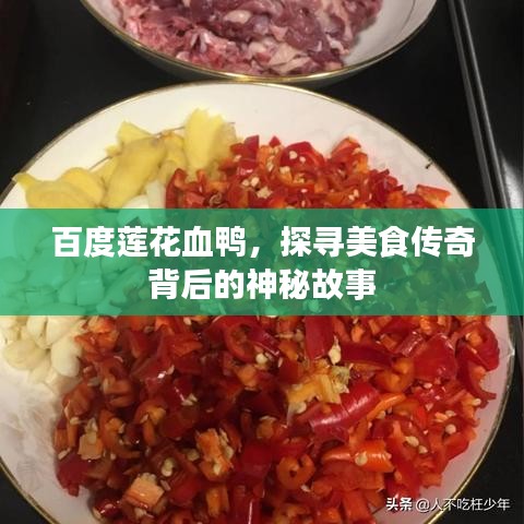 百度莲花血鸭，探寻美食传奇背后的神秘故事