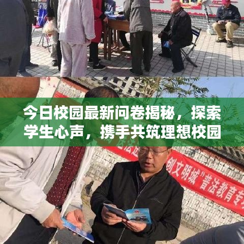 今日校园最新问卷揭秘，探索学生心声，携手共筑理想校园