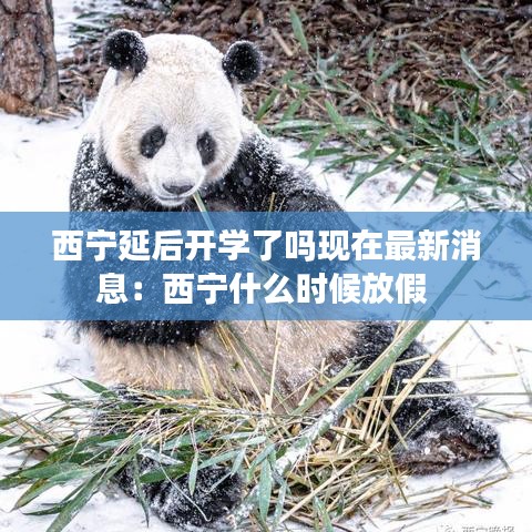 西宁延后开学了吗现在最新消息：西宁什么时候放假 