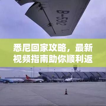 布衣蔬食 第3页