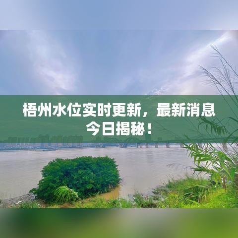 梧州水位实时更新，最新消息今日揭秘！