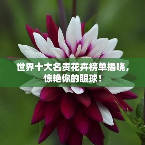不知所云 第4页