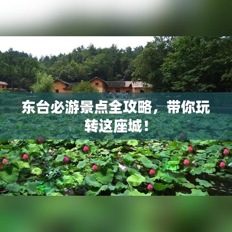 达官贵人 第3页