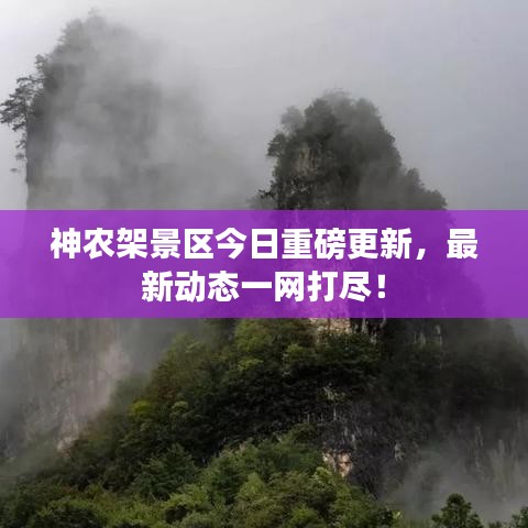 打张鸡儿 第3页
