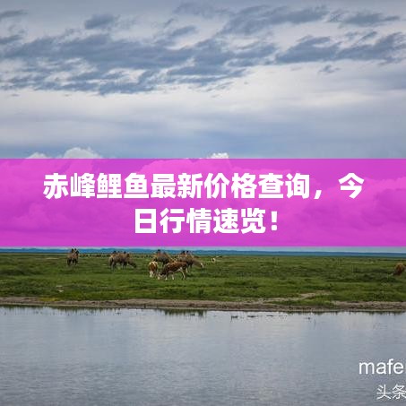 难能可贵 第4页