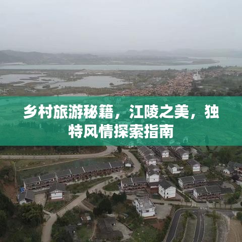 物离乡贵 第3页