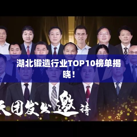 湖北锻造行业TOP10榜单揭晓！