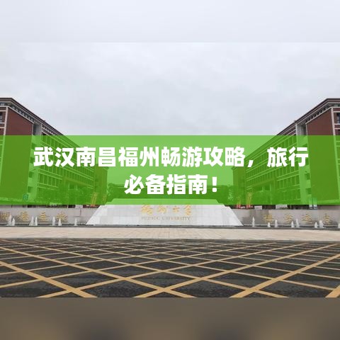 独学寡闻 第4页