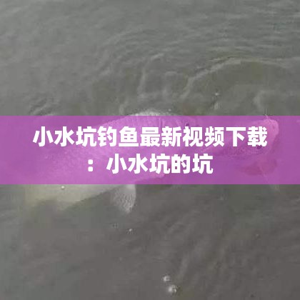 洞天福地 第3页