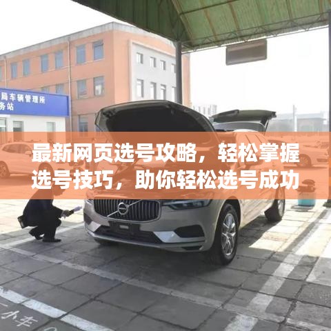 最新网页选号攻略，轻松掌握选号技巧，助你轻松选号成功！