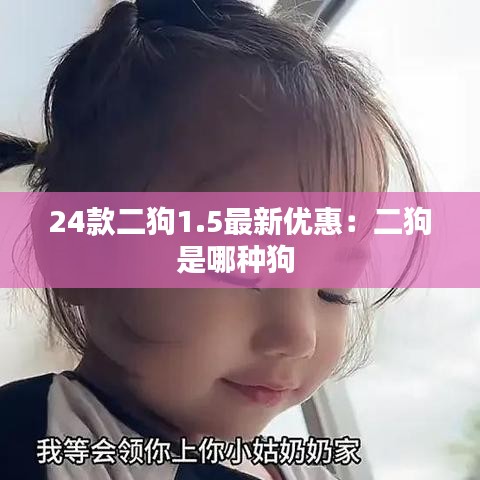 24款二狗1.5最新优惠：二狗是哪种狗 