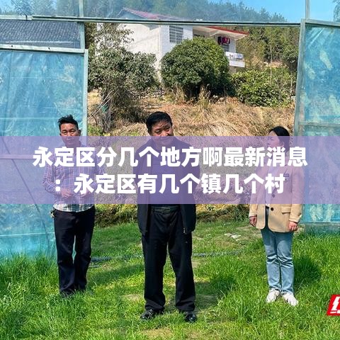 永定区分几个地方啊最新消息：永定区有几个镇几个村 