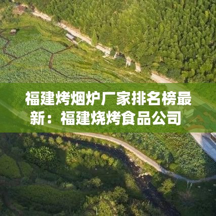 真独简贵 第4页