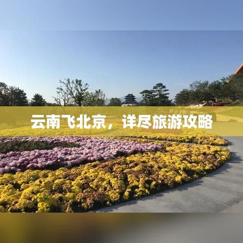 兵贵神速 第3页
