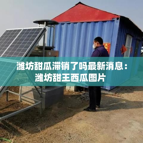 标新立异 第4页