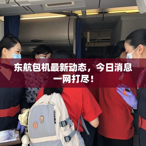 东航包机最新动态，今日消息一网打尽！
