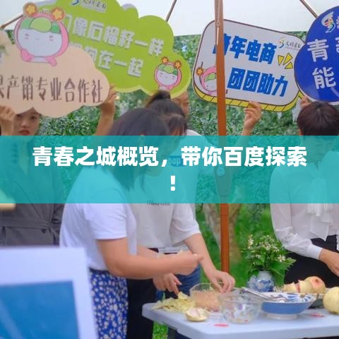择善而从 第3页