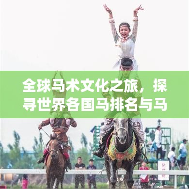 全球马术文化之旅，探寻世界各国马排名与马术魅力
