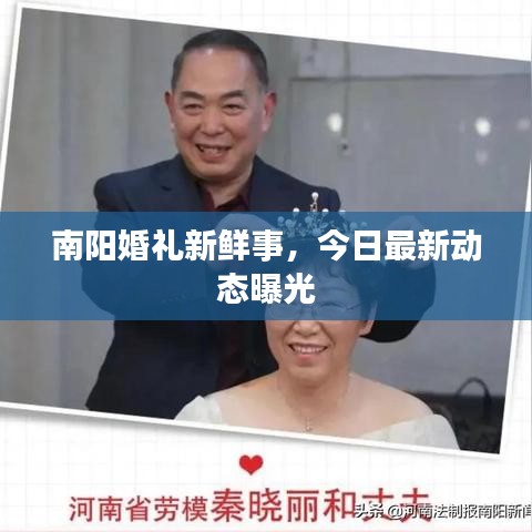 南阳婚礼新鲜事，今日最新动态曝光