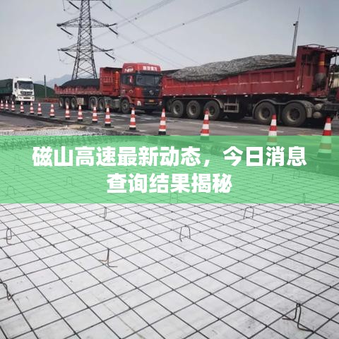 草率从事 第3页