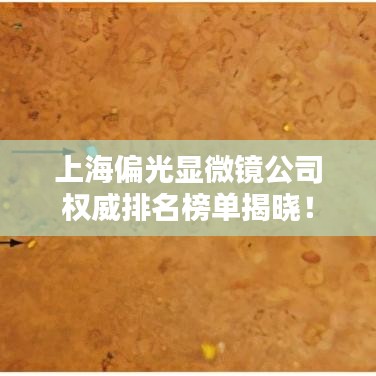 上海偏光显微镜公司权威排名榜单揭晓！