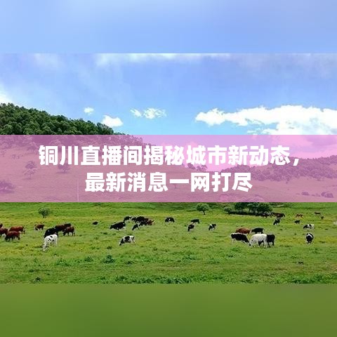 铜川直播间揭秘城市新动态，最新消息一网打尽